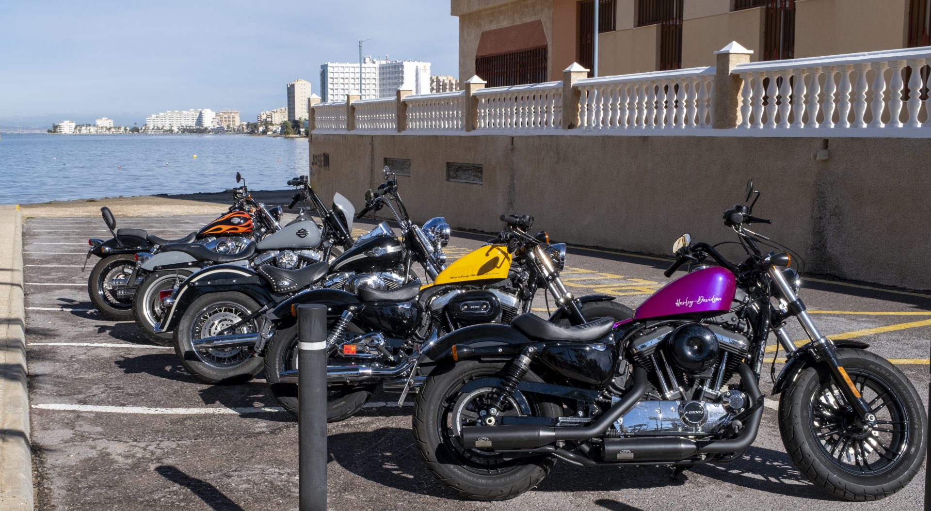 Unsere Harley Modelle in Ludwigsburg