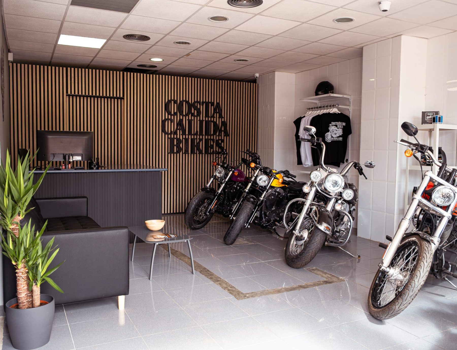 Sie möchten eine Harley mieten oder haben Fragen zu unseren